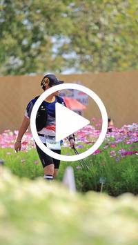 BIB:  <button type="button" onclick="openModal(27585020)" class="btn btn-primary btn-sm float-right" data-toggle="modal" data-target=".modal-high-quality">
                <i class="fa fa-download"></i> Download
                </button>